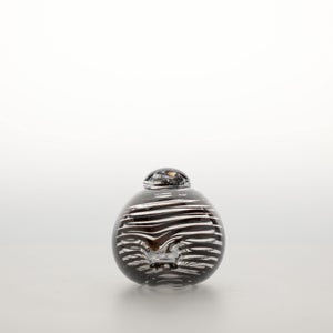 Birds Whip-Poor-Will 0394