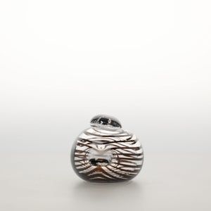 Birds Whip-Poor-Will 0395