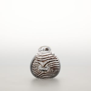 Birds Whip-Poor-Will 0398
