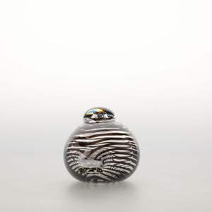 Birds Whip-Poor-Will 0401