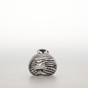 Birds Whip-Poor-Will 0405