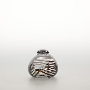 Birds Whip-Poor-Will 0415