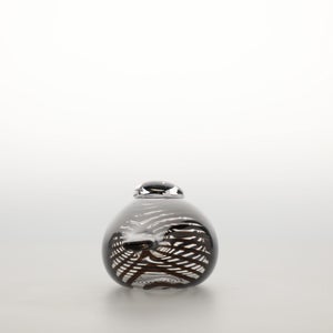 Birds Whip-Poor-Will 0427