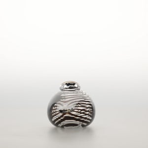 Birds Whip-Poor-Will 0433