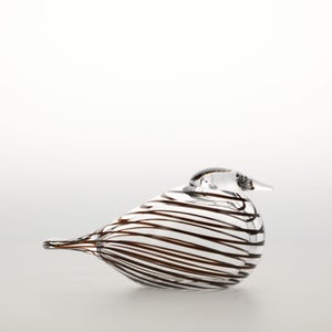 Birds Whip-Poor-Will 0387