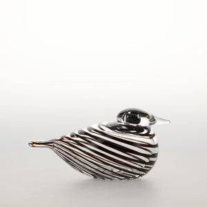 Birds Whip-Poor-Will 0388
