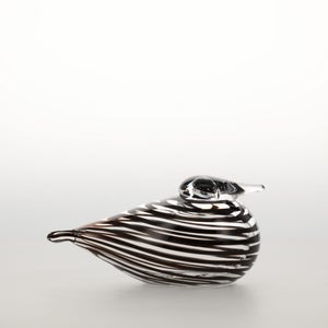 Birds Whip-Poor-Will 0391