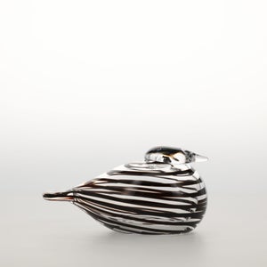 Birds Whip-Poor-Will 0392