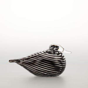 Birds Whip-Poor-Will 0393