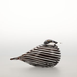 Birds Whip-Poor-Will 0394