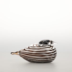 Birds Whip-Poor-Will 0395
