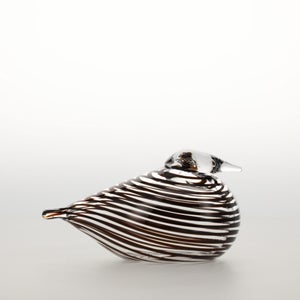 Birds Whip-Poor-Will 0396