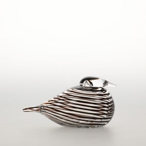 Birds Whip-Poor-Will 0397