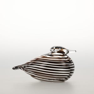 Birds Whip-Poor-Will 0400