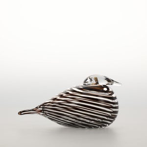 Birds Whip-Poor-Will 0401