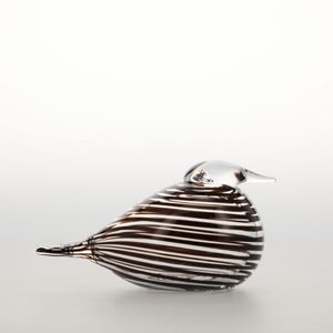 Birds Whip-Poor-Will 0402