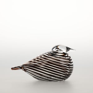 Birds Whip-Poor-Will 0403