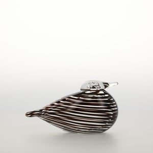 Birds Whip-Poor-Will 0404