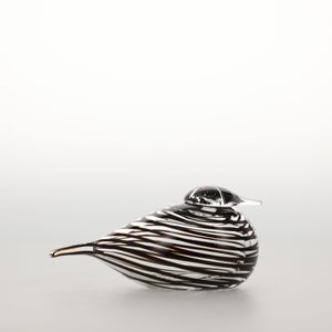 Birds Whip-Poor-Will 0405