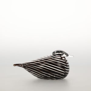 Birds Whip-Poor-Will 0406