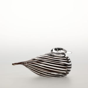 Birds Whip-Poor-Will 0408