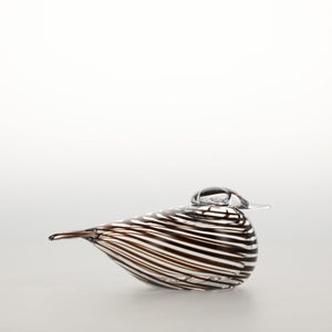 Birds Whip-Poor-Will 0410