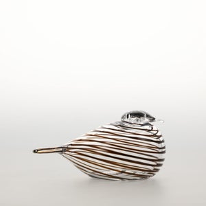 Birds Whip-Poor-Will 0412