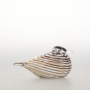 Birds Whip-Poor-Will 0413