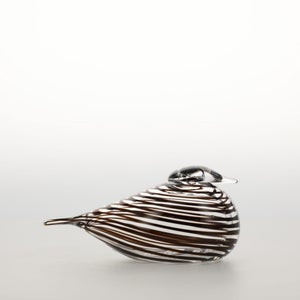 Birds Whip-Poor-Will 0415