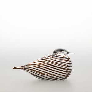 Birds Whip-Poor-Will 0416