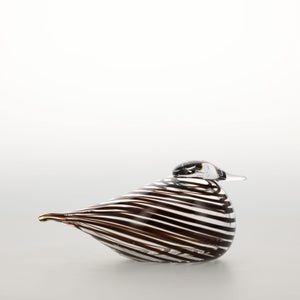 Birds Whip-Poor-Will 0417