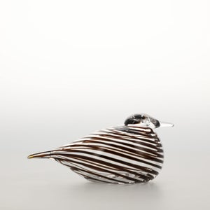 Birds Whip-Poor-Will 0419