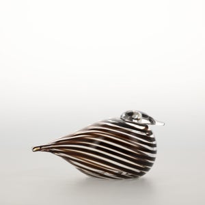 Birds Whip-Poor-Will 0421