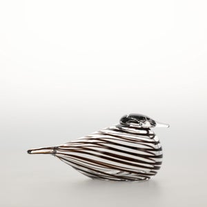 Birds Whip-Poor-Will 0423