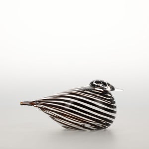 Birds Whip-Poor-Will 0424