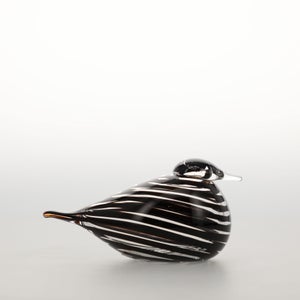 Birds Whip-Poor-Will 0425