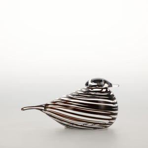 Birds Whip-Poor-Will 0426