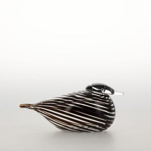 Birds Whip-Poor-Will 0427
