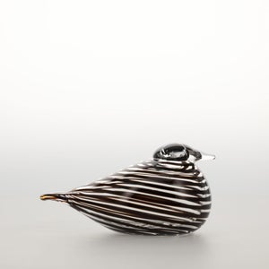 Birds Whip-Poor-Will 0428