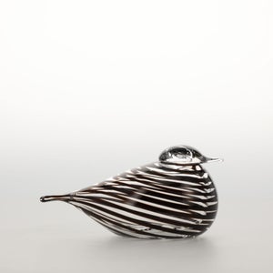 Birds Whip-Poor-Will 0429