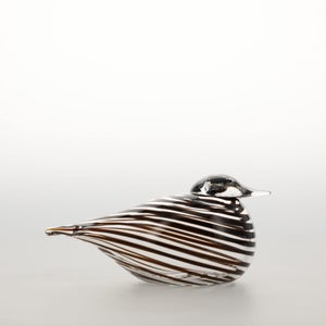 Birds Whip-Poor-Will 0430