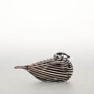 Birds Whip-Poor-Will 0433