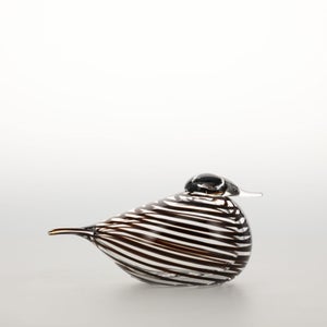 Birds Whip-Poor-Will 0434