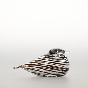Birds Whip-Poor-Will 0436