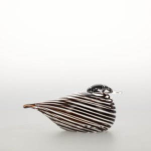 Birds Whip-Poor-Will 0437