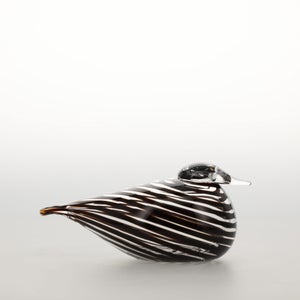 Birds Whip-Poor-Will 0438