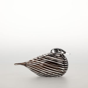 Birds Whip-Poor-Will 0439