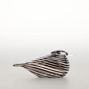 Birds Whip-Poor-Will 0440