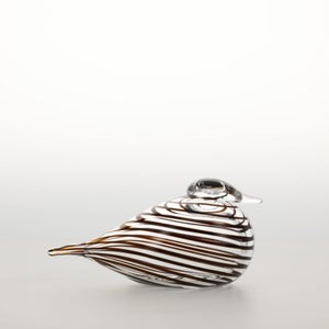 Birds Whip-Poor-Will 0441