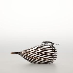 Birds Whip-Poor-Will 0443